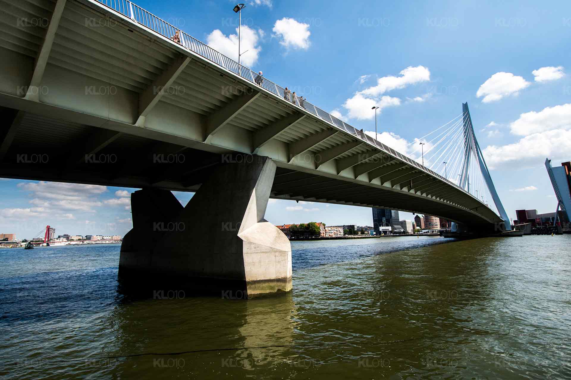 Onderaan de Zwaan - Erasmusbrug Rotterdam