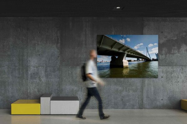 Onderaan de Zwaan - Erasmusbrug Rotterdam